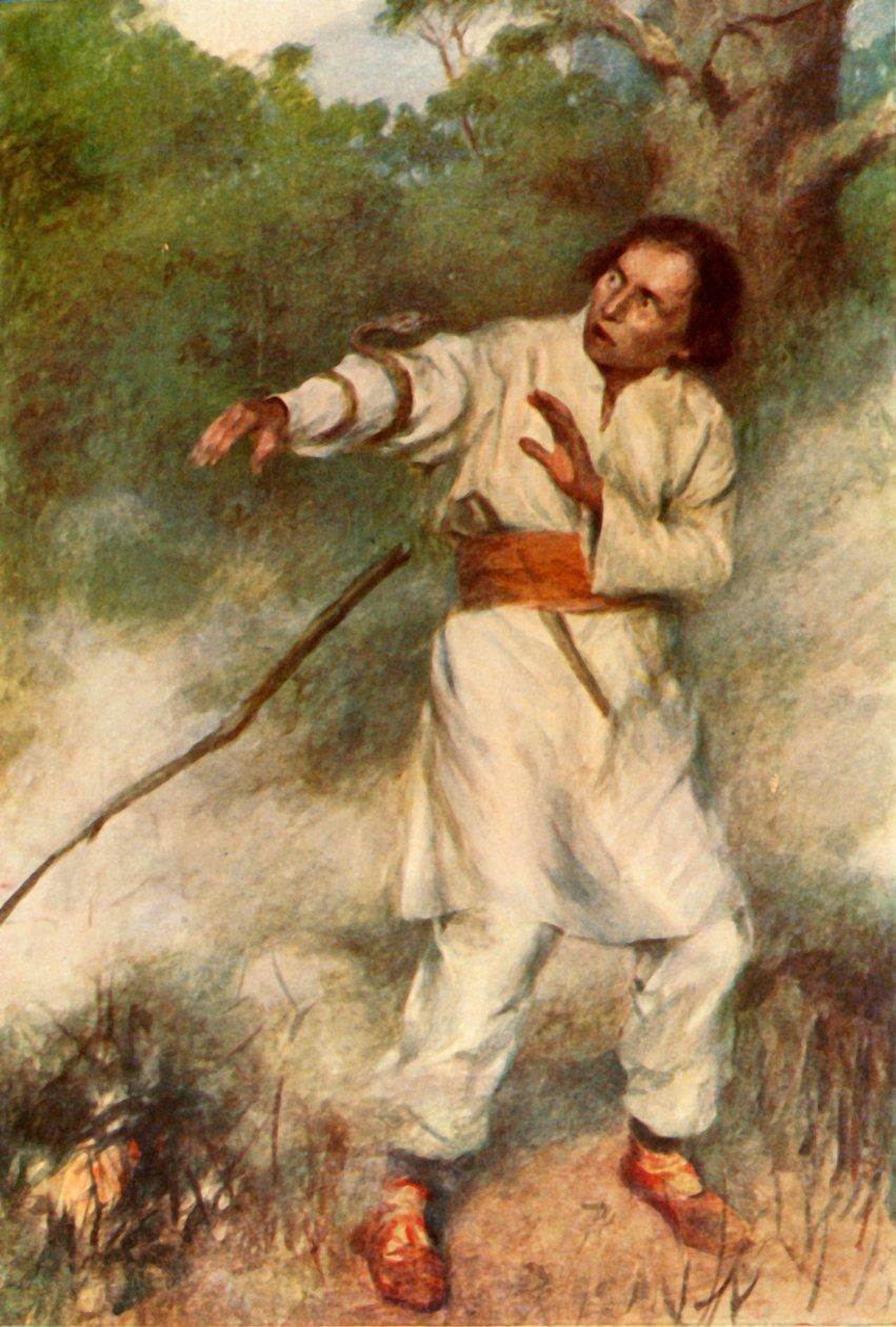 „Wąż owinął się szybko wokół jego ramienia”, 1917. autorstwa Unbekannt
