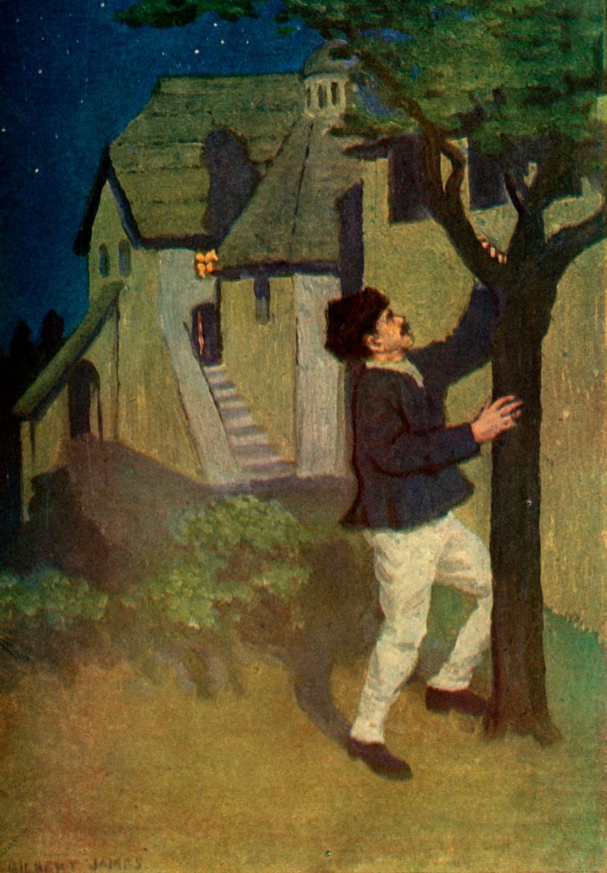 „Młody człowiek trzykrotnie potrząsa drzewem”, 1917. autorstwa Unbekannt