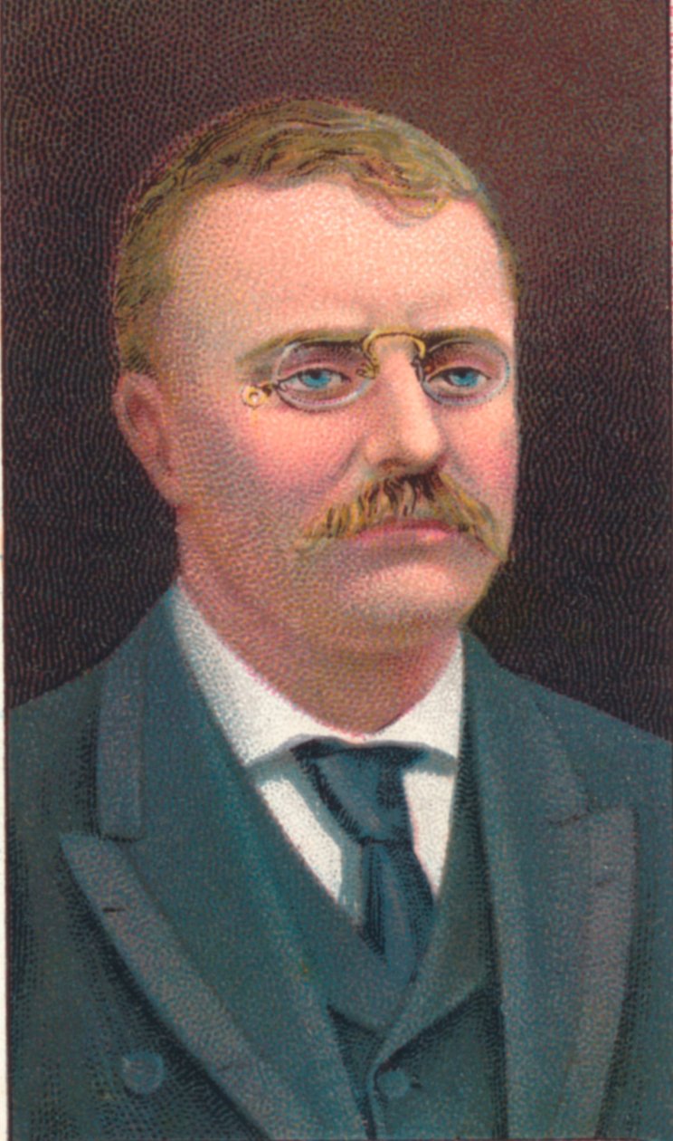 Theodore Roosevelt 1858-1919, 26 prezydent Stanów Zjednoczonych, 1906 autorstwa Unbekannt