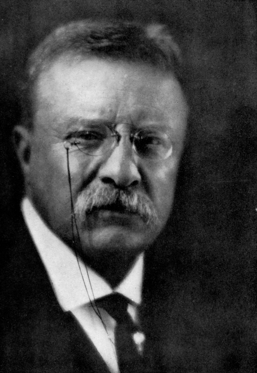 Theodore Roosevelt, 26 prezydent Stanów Zjednoczonych, 1933 autorstwa Unbekannt