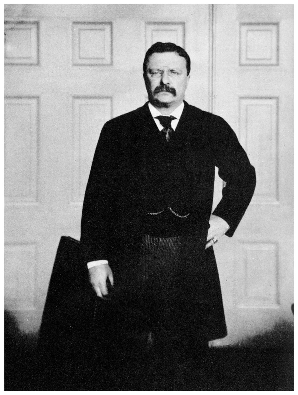 Theodore Roosevelt, 26 prezydent Stanów Zjednoczonych, ok. 1900 1955 r autorstwa Unbekannt