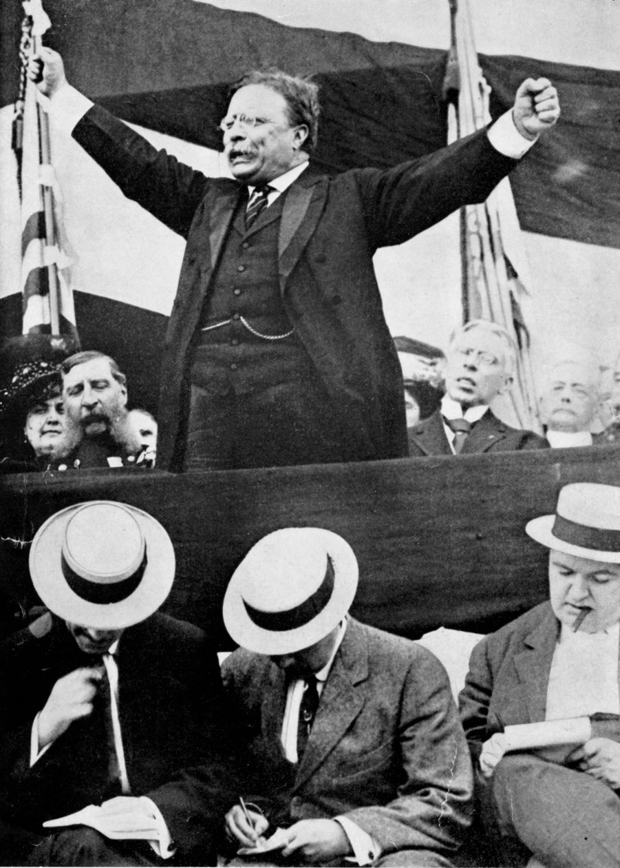 Theodore Roosevelt, prezydent USA, 1901-1909 autorstwa Unbekannt