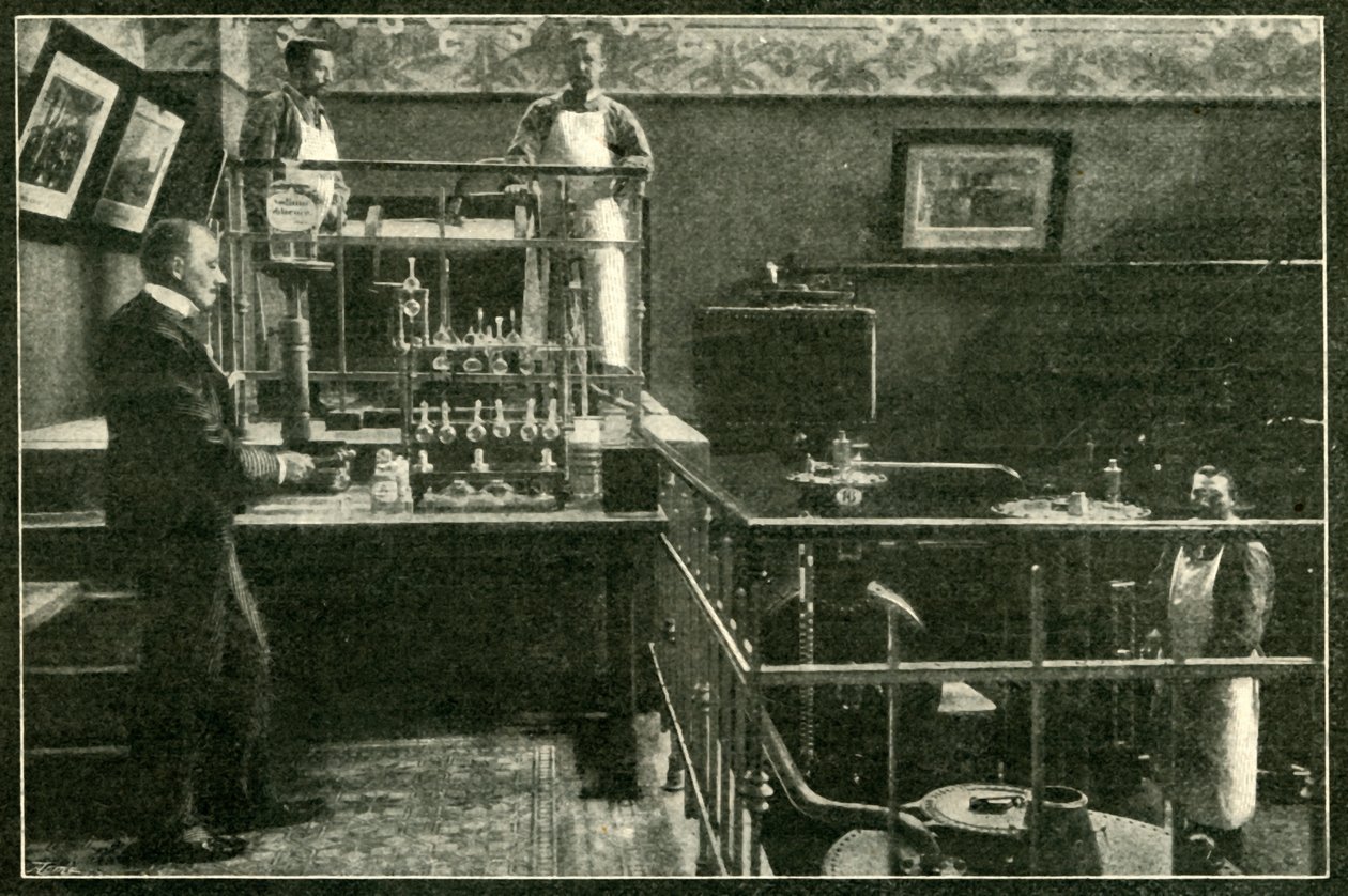 W dominiach carskich nie ma strachu przed trucizną, 1901 autorstwa Unbekannt
