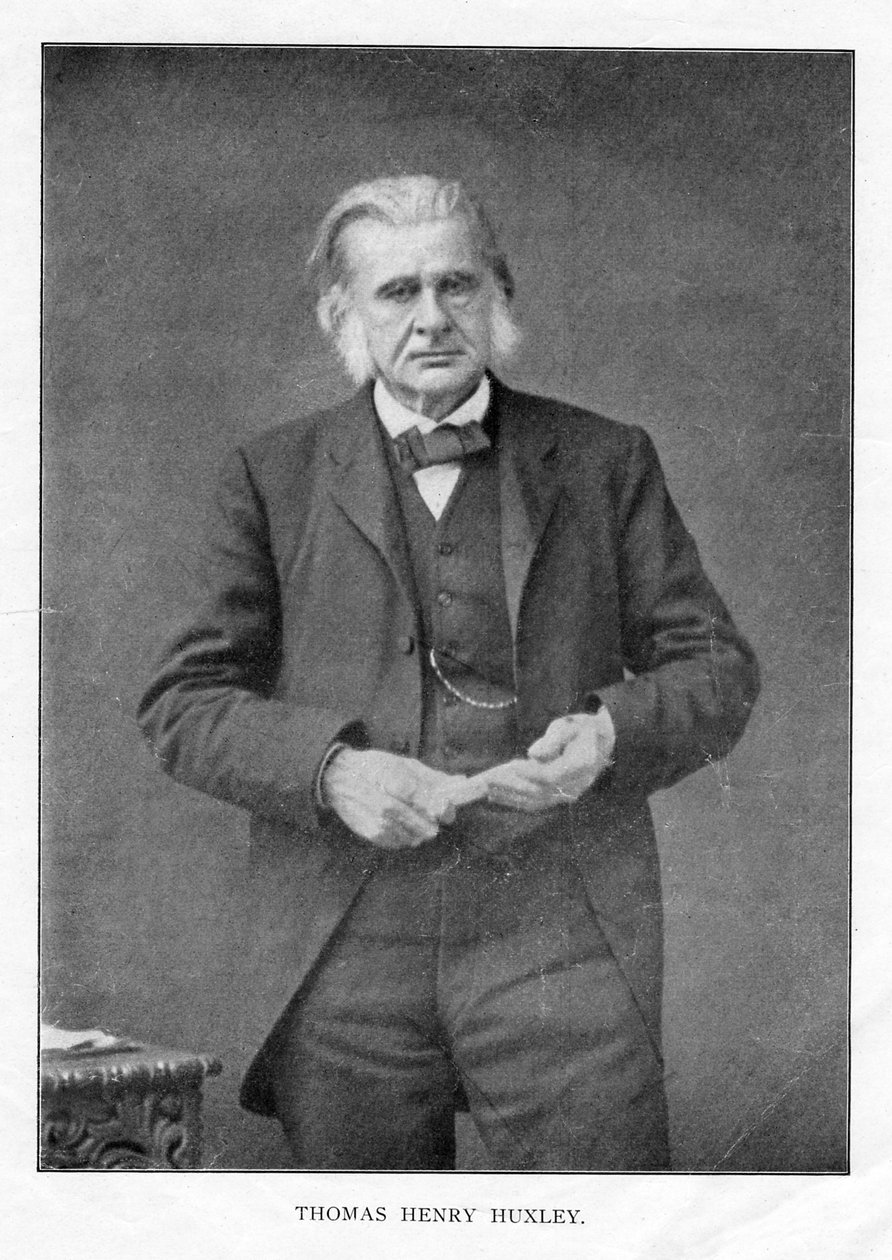 Thomas Henry Huxley, brytyjski biolog, ok. 1870 r. autorstwa Unbekannt
