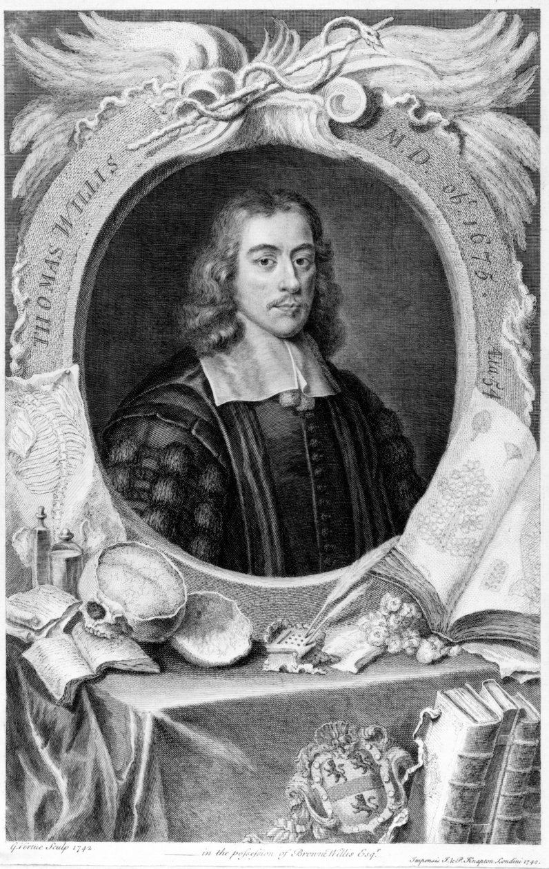 Thomas Willis, angielski lekarz, ok. 1660 autorstwa Unbekannt