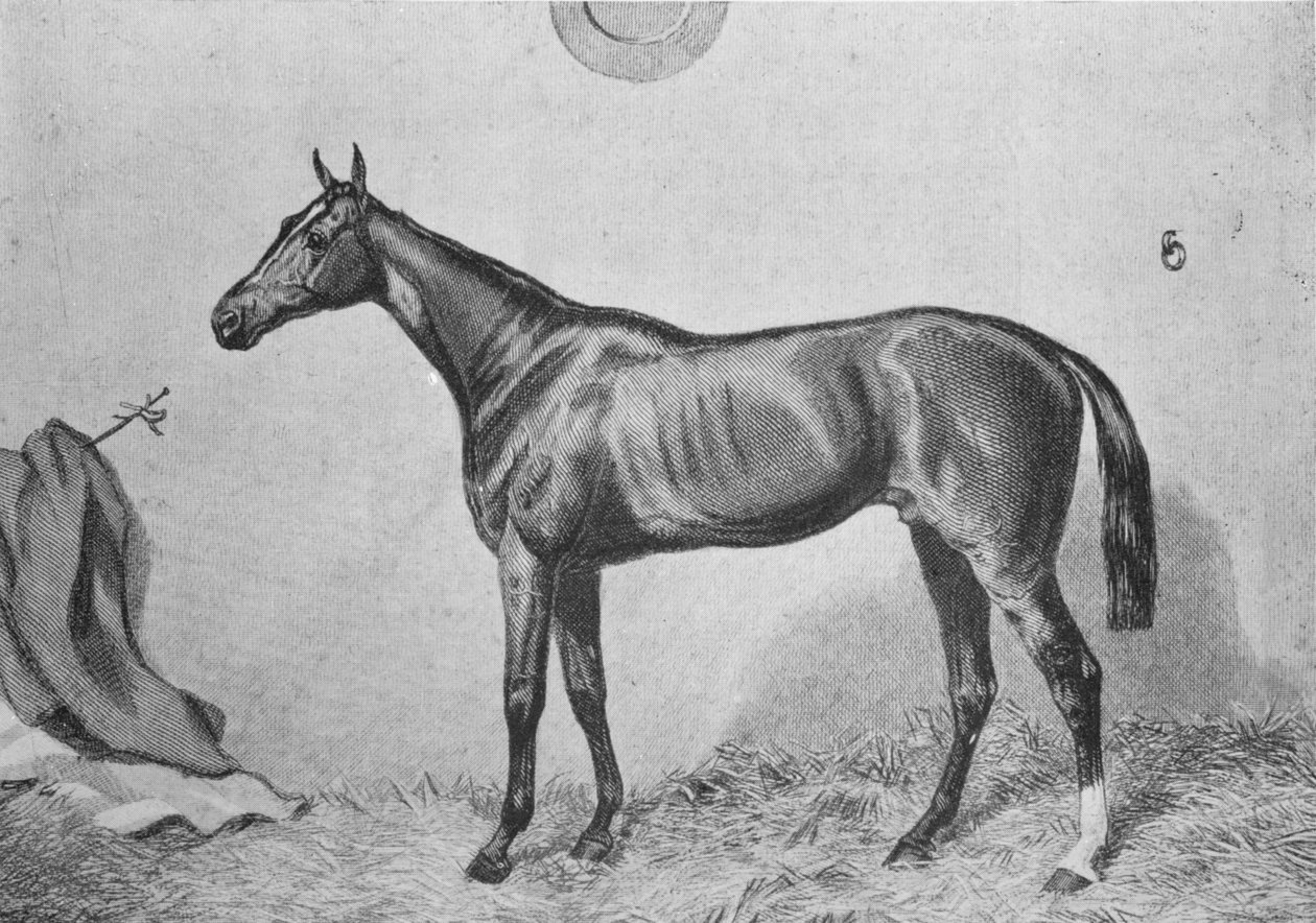 Thormanby, c1860, 1911 autorstwa Unbekannt