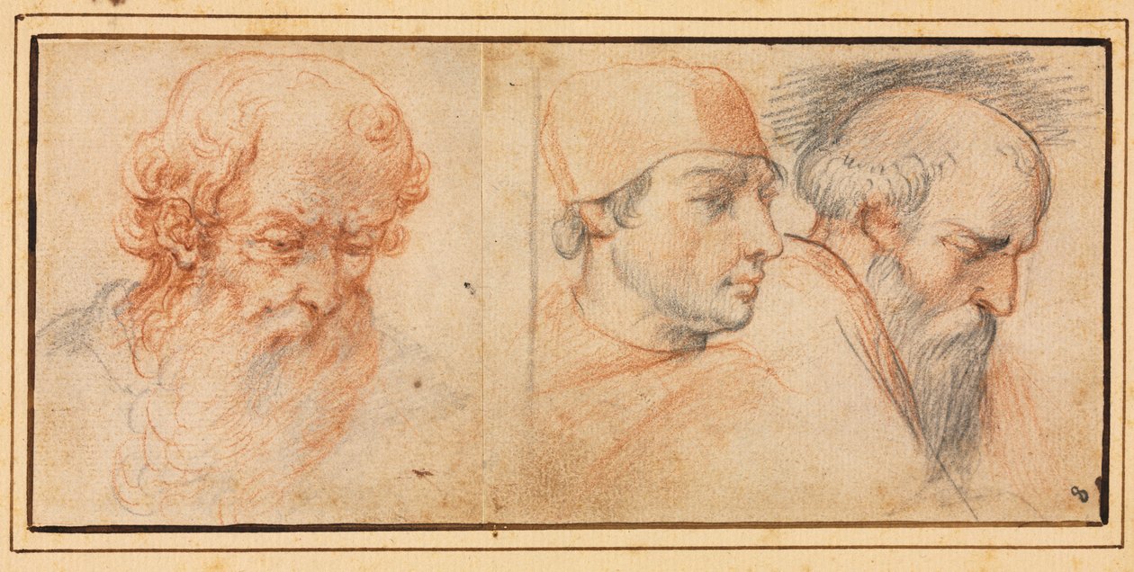 Trzy Studia Głowy, 1600s. autorstwa Unbekannt