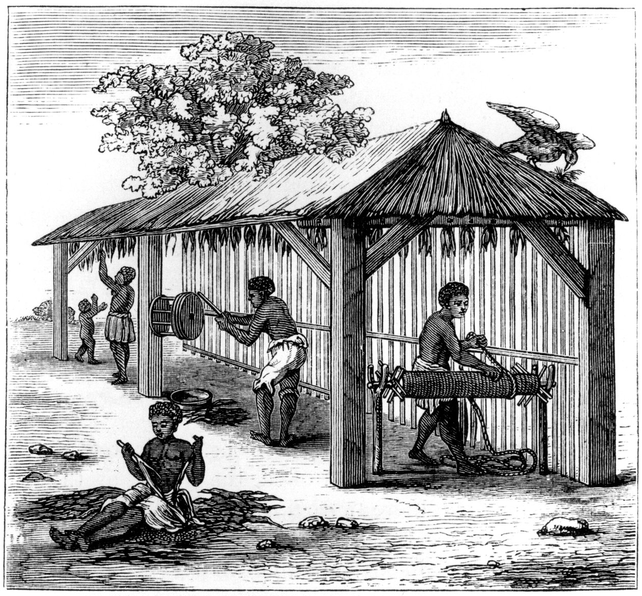 Przygotowanie tytoniu, 1873 autorstwa Unbekannt