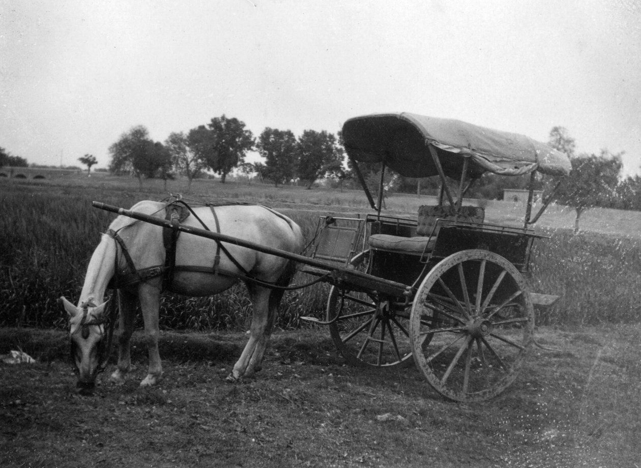 Wóz konny Tonga, Muttra, Indie, 1917 autorstwa Unbekannt