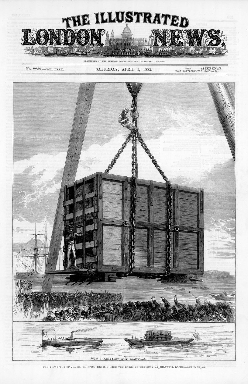 Transport słonia afrykańskiego Jumbo do Ameryki, 1882 r autorstwa Unbekannt