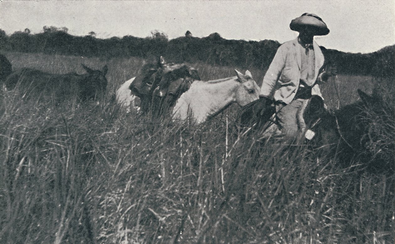 Podróż po Pampasach, 1916 autorstwa Unbekannt