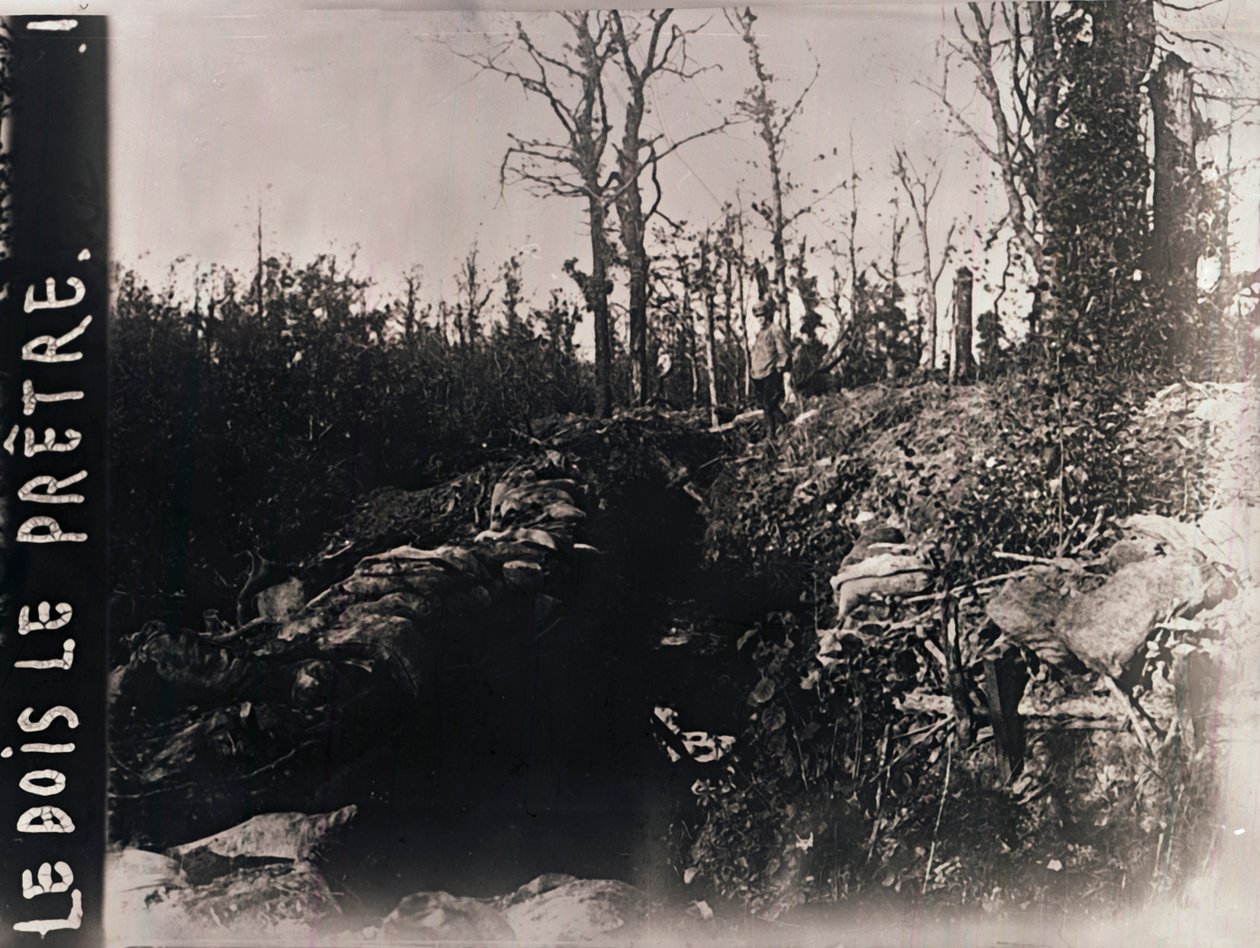 Okopy, Bois-le-Prêtre, Lotaryngia, północna Francja, c1914-c1918 autorstwa Unbekannt