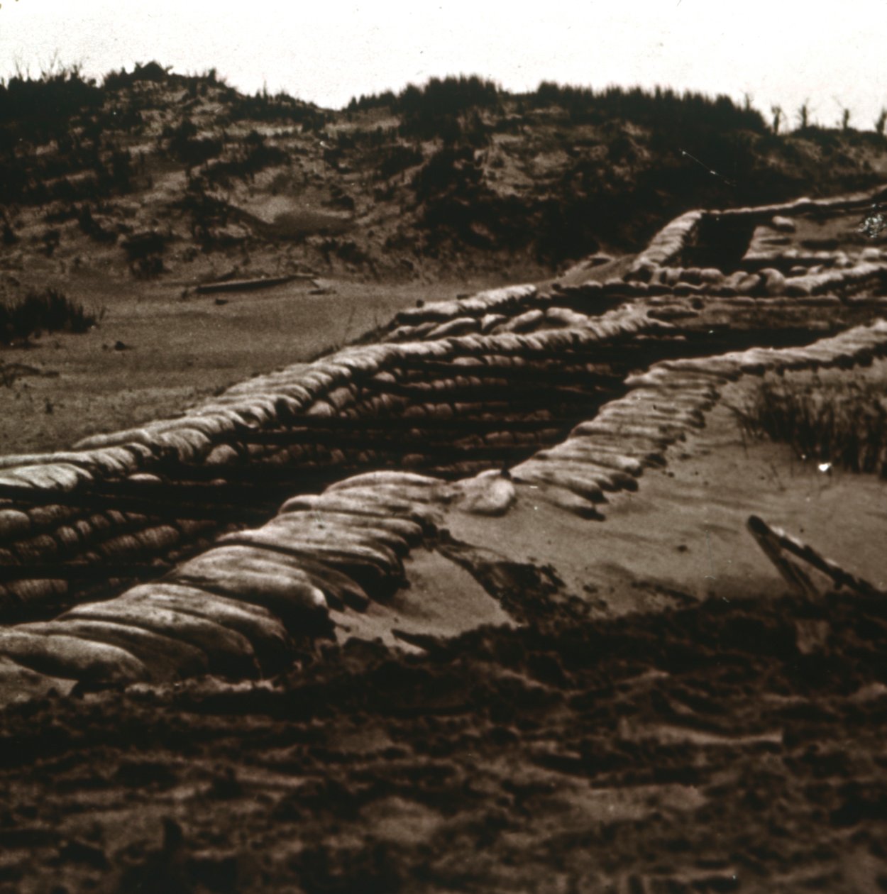 Okopy w osłonie wydm, Nieuwpoort, Flandria, Belgia, c1914-c1918 autorstwa Unbekannt