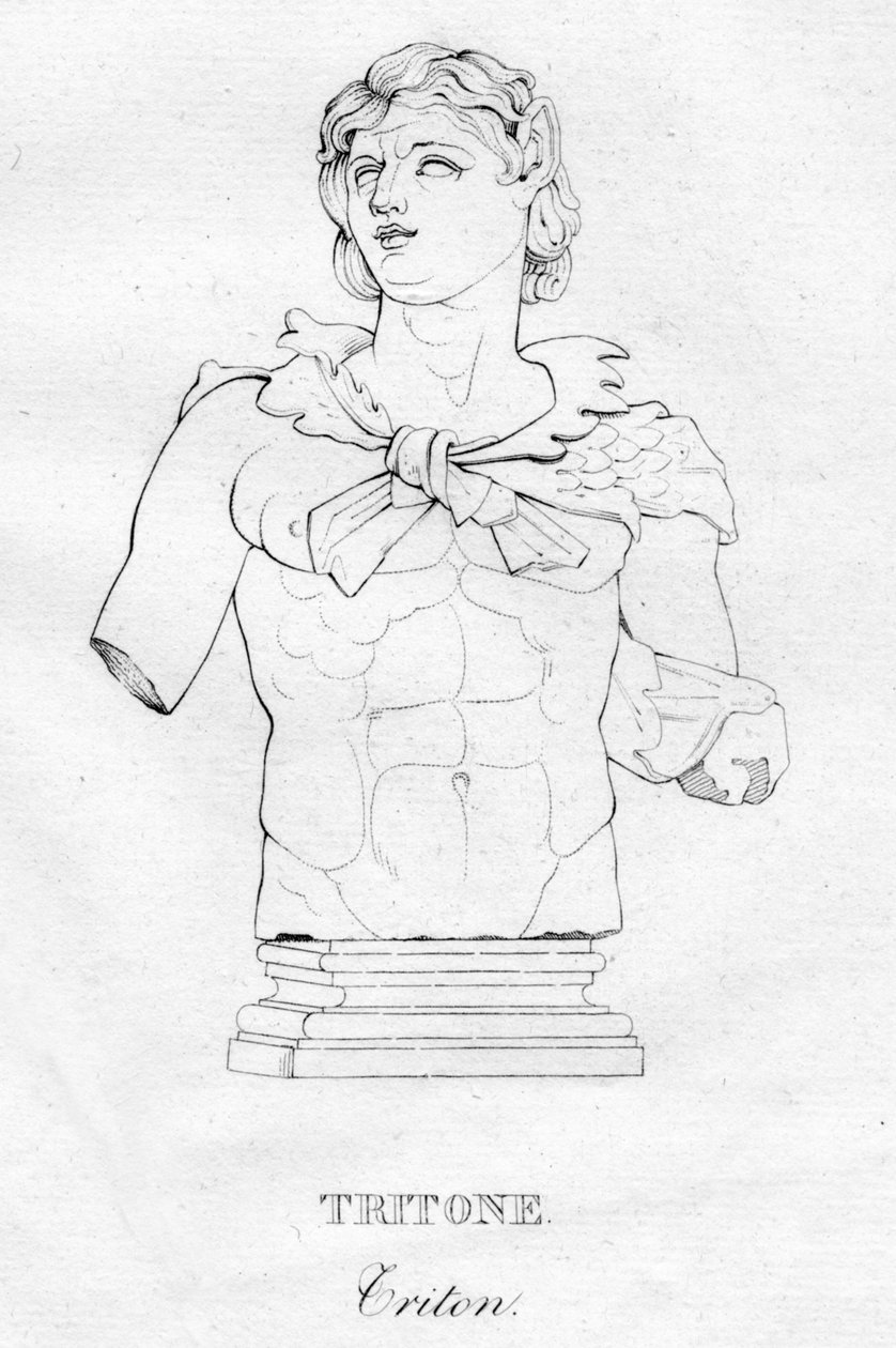 Tryton Tryton, c1850 autorstwa Unbekannt
