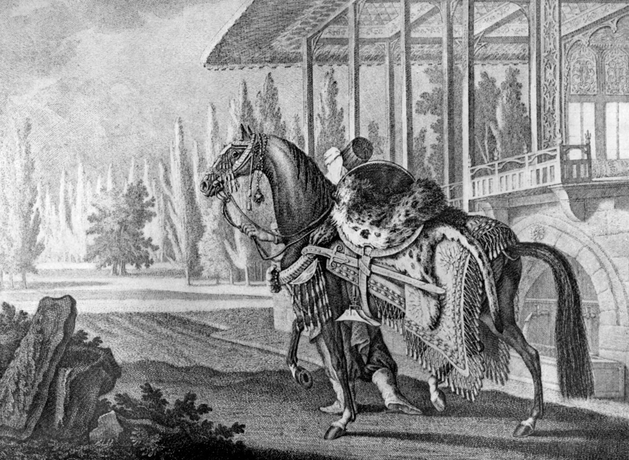 Turecki Pasza Arabian hack, 1722 1938 autorstwa Unbekannt