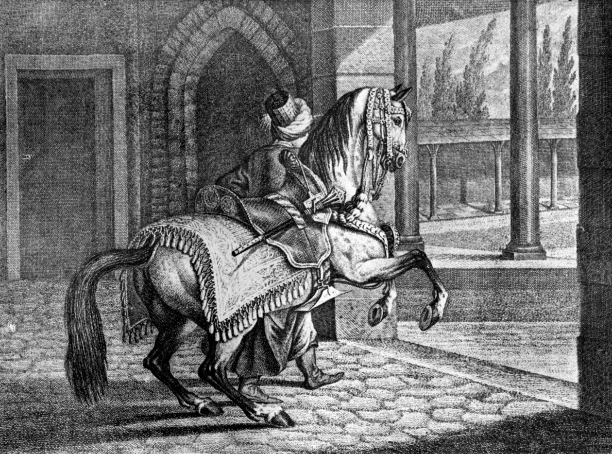 Turecki sułtan arabski koń pod siodło, 1722, 1938 autorstwa Unbekannt