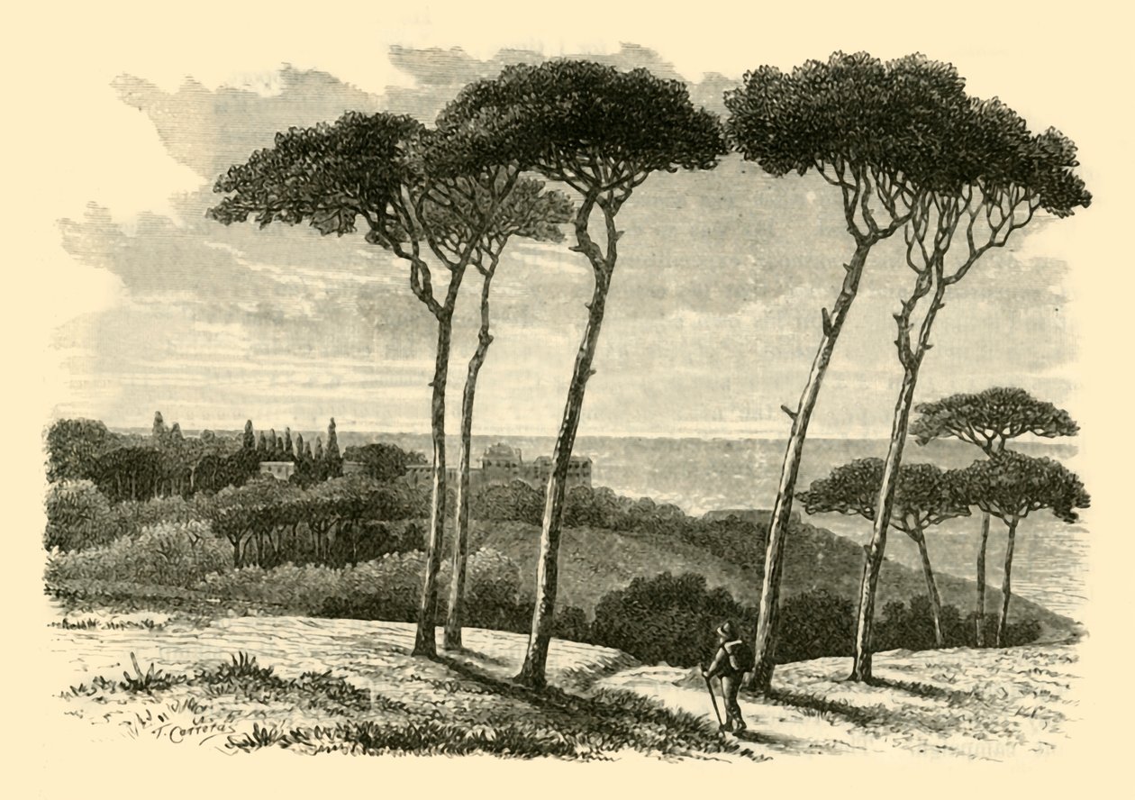 Tusculum, 1890. autorstwa Unbekannt