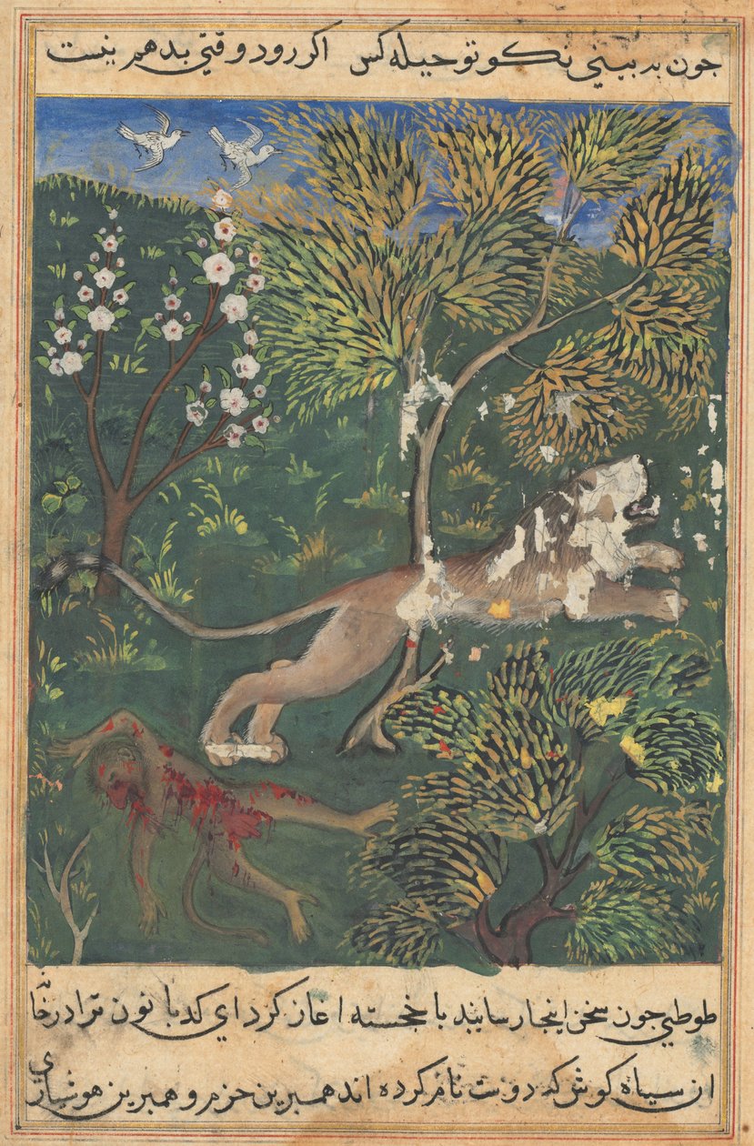 Tuti-Nama Opowieści papugi: Opowieść XXIX, c. 1560. autorstwa Unbekannt