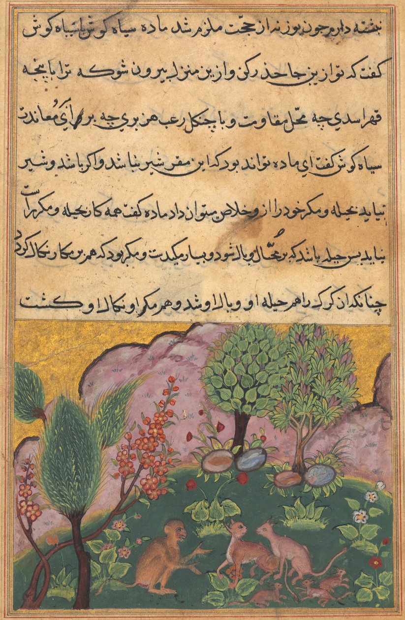 Tuti-Nama Opowieści papugi: Opowieść XXIX, c. 1560. autorstwa Unbekannt