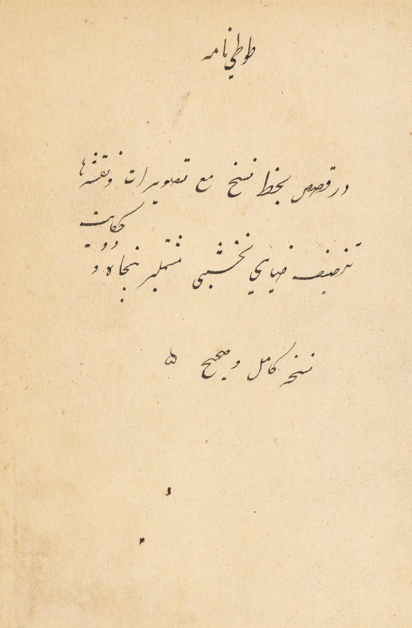 Tuti-Nama Opowieści papugi, c. 1560. autorstwa Unbekannt