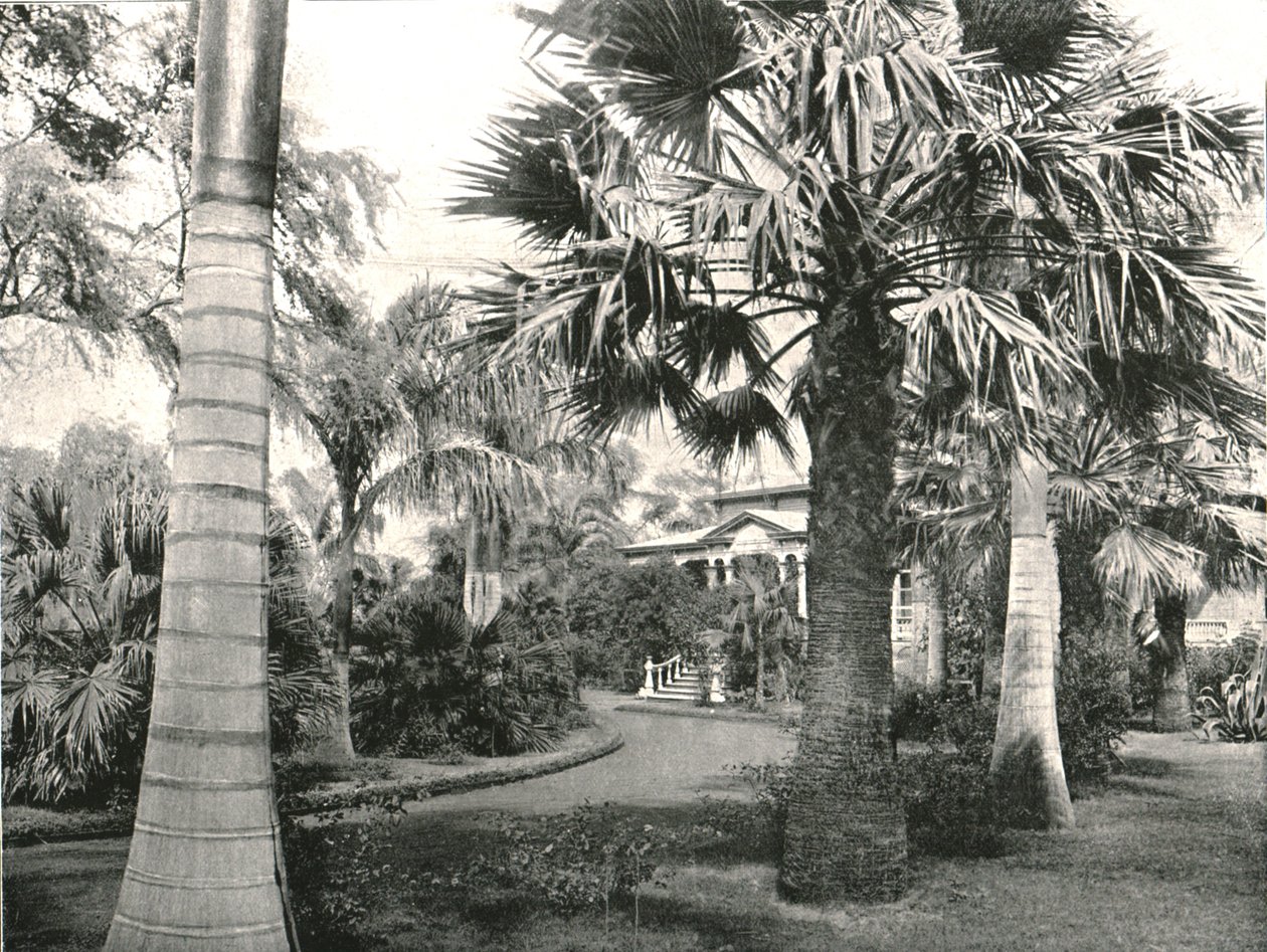 Typowa hawajska stocznia, Honolulu, USA, 1895. autorstwa Unbekannt