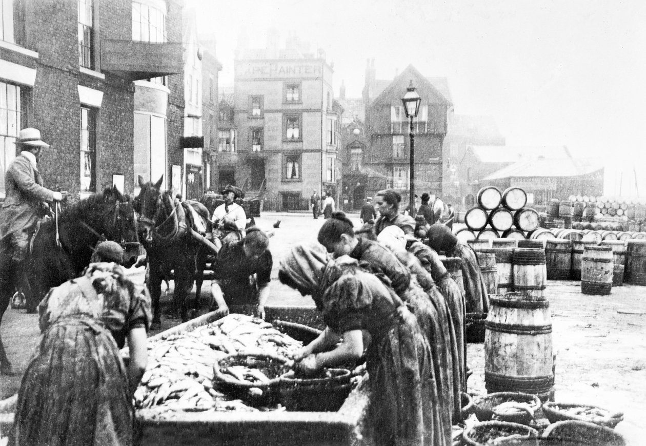 Wielka Brytania: Szkockie rynny śledziowe przy pracy w Scarborough. Scarborough, ok. 1890 r autorstwa Unbekannt