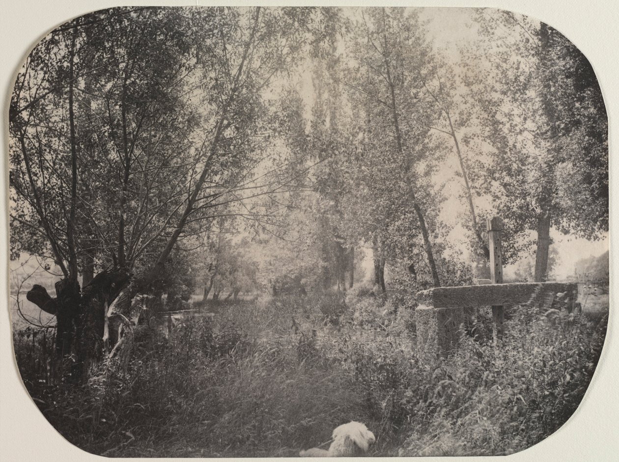 Pejzaż bez tytułu z psem, c. 1910. autorstwa Unbekannt
