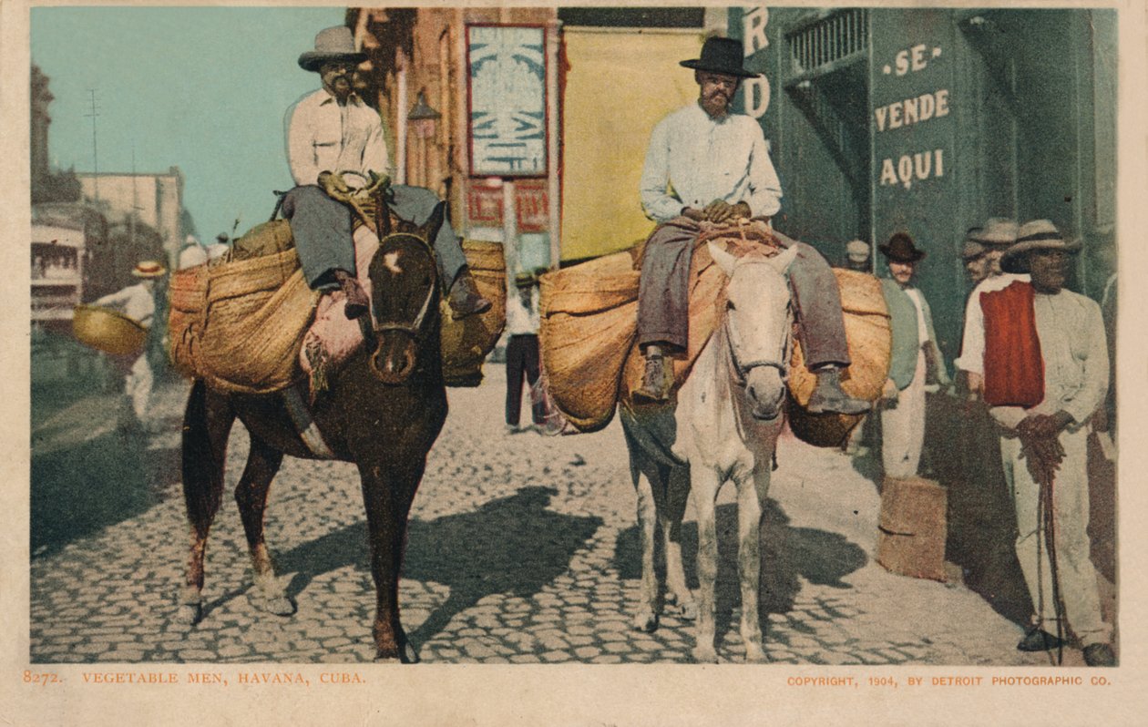 Warzywa, Hawana, Kuba, 1904 autorstwa Unbekannt