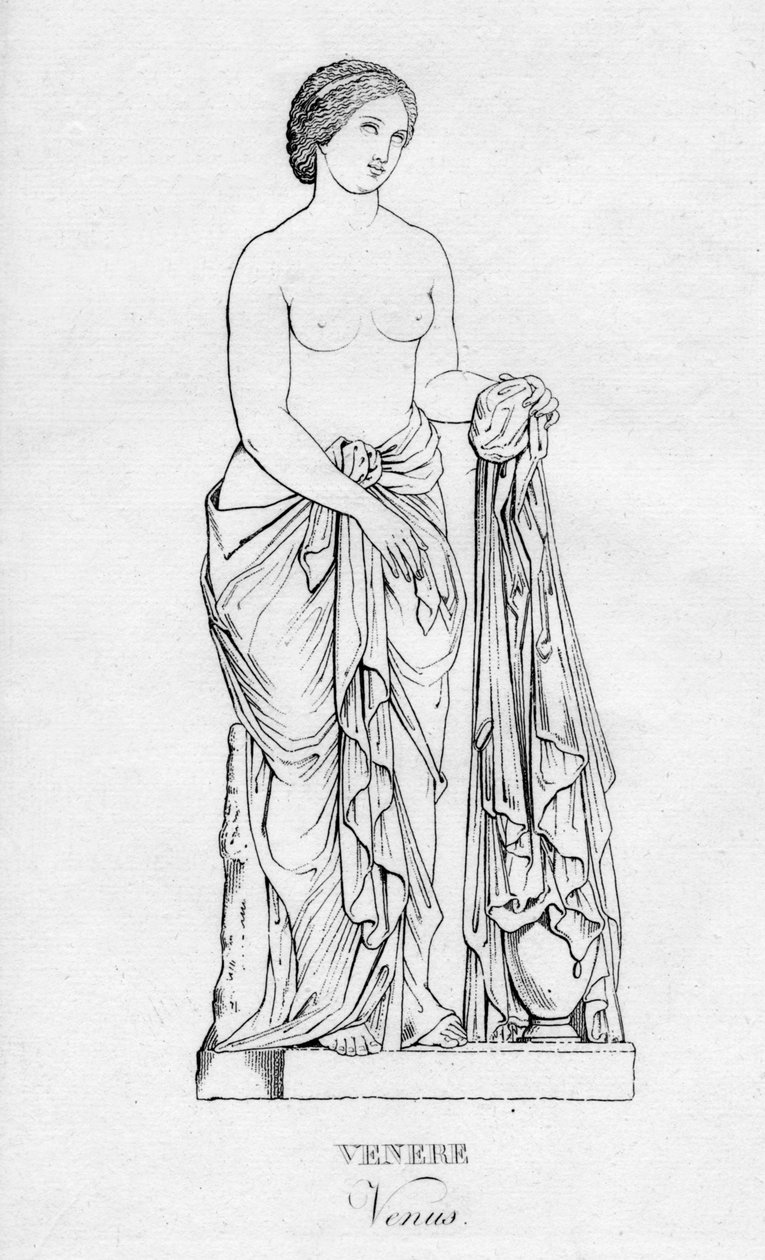Venere Wenus, ok. 1850 autorstwa Unbekannt