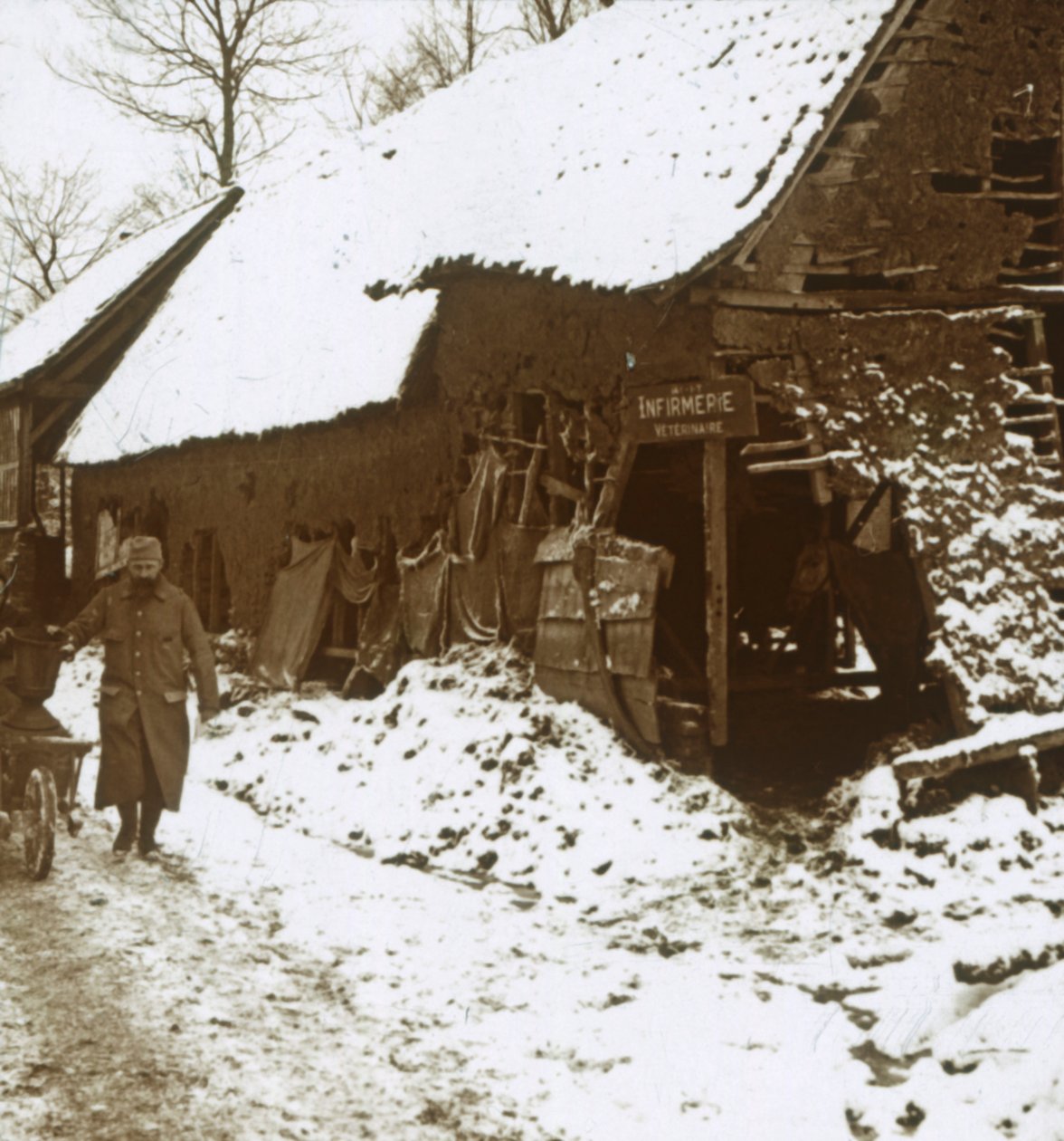Stacja weterynaryjna dla koni, Calonne, północna Francja, c1914-c1918 autorstwa Unbekannt