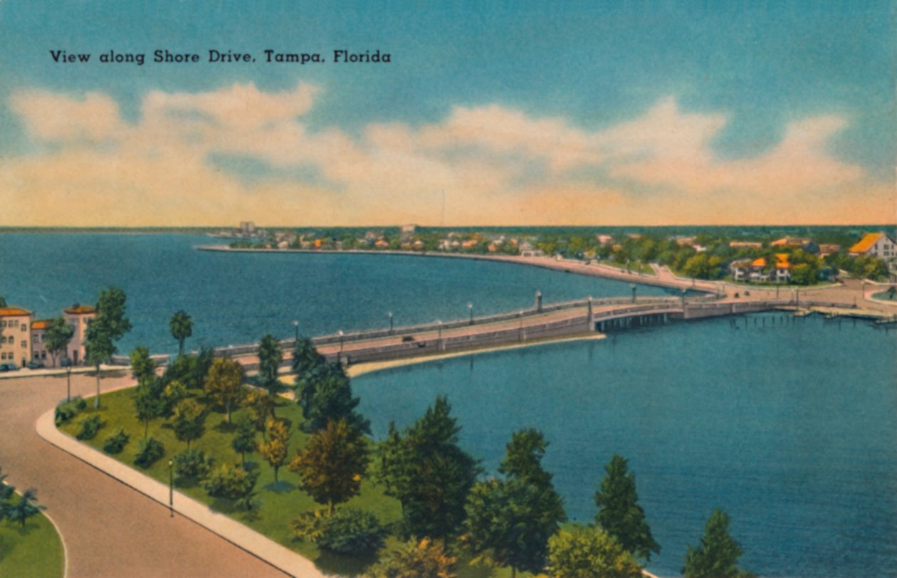 Zobacz wzdłuż Shore Drive, Tampa, Floryda, c1940 autorstwa Unbekannt