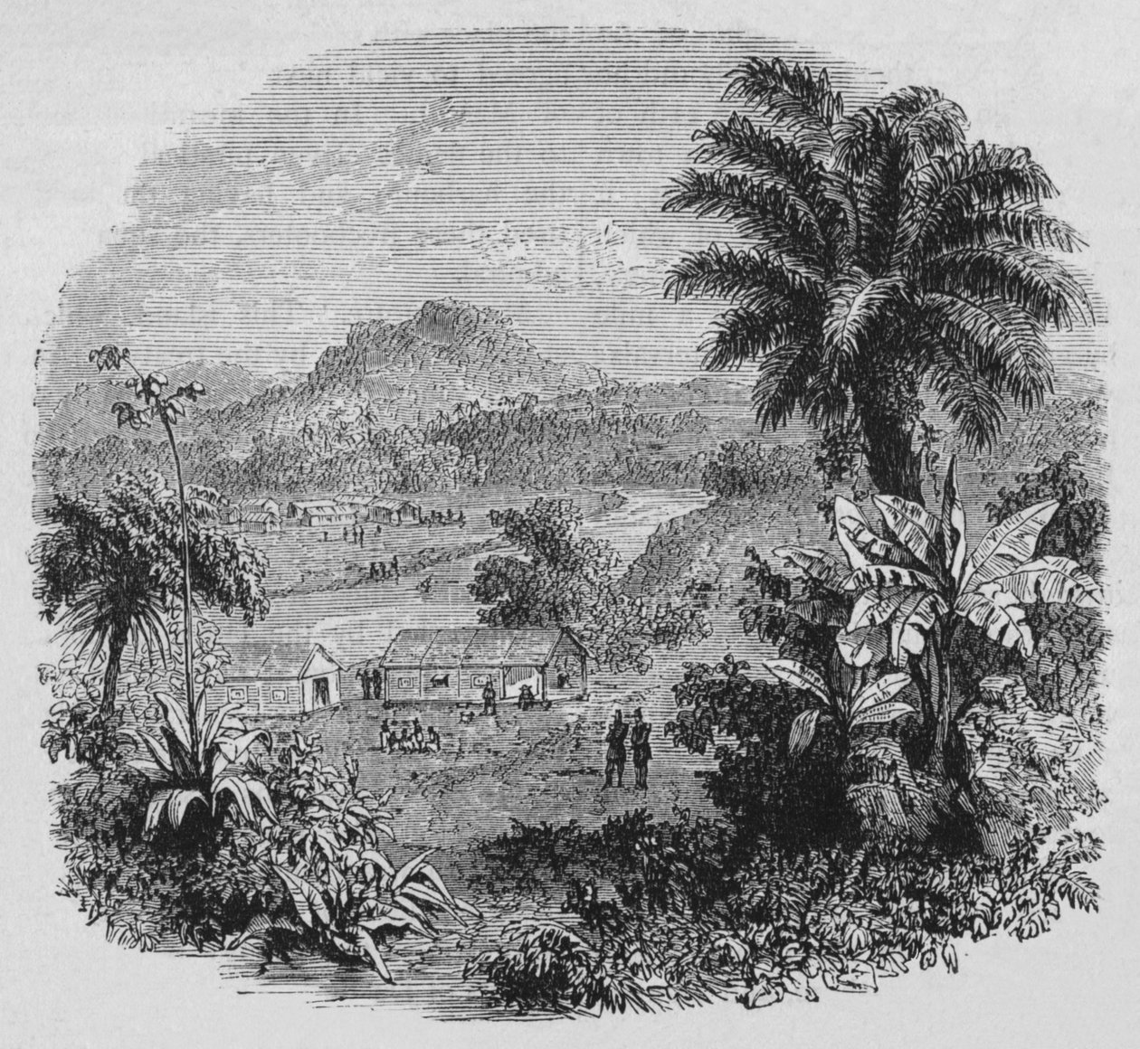 Widok w Cayenne, ok. 1880 autorstwa Unbekannt