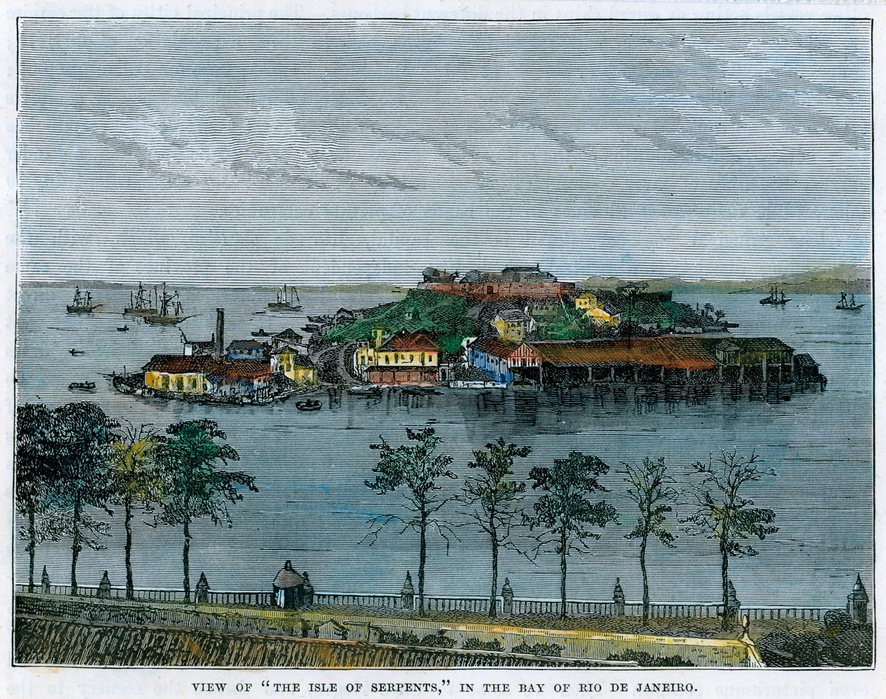 Widok na wyspę węży, w zatoce Rio de Janeiro, Brazylia, ok. 1880 r. autorstwa Unbekannt