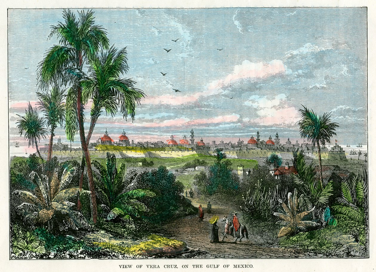 Widok Vera Cruz, nad Zatoką Meksykańską, Meksyk, ok. 1880 r. autorstwa Unbekannt