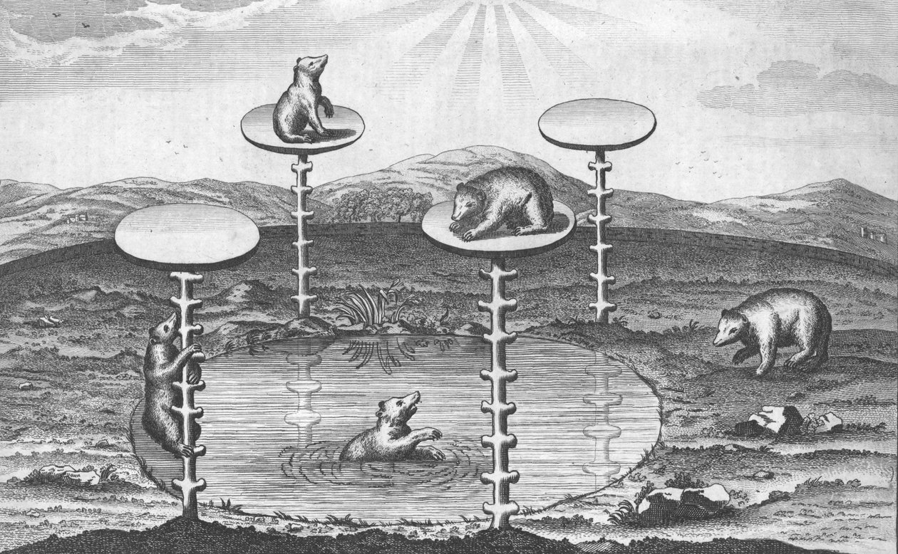 Widok elektora saskiego Ogrodu Piwnego w Dreźnie w Niemczech, ok. 1673 r. autorstwa Unbekannt