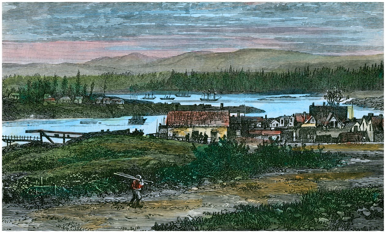 Widok na zachodnie przedmieścia Wiktorii, wyspa Vancouver, Kolumbia Brytyjska, Kanada, c1880 autorstwa Unbekannt