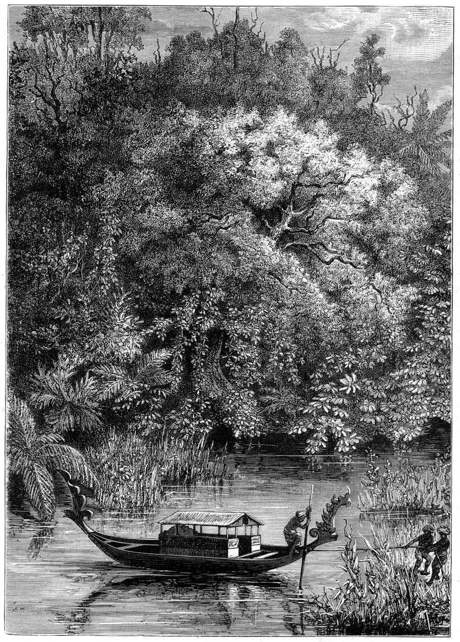 Widok na rzekę Dodinga, Nowa Gwinea, 1877 autorstwa Unbekannt