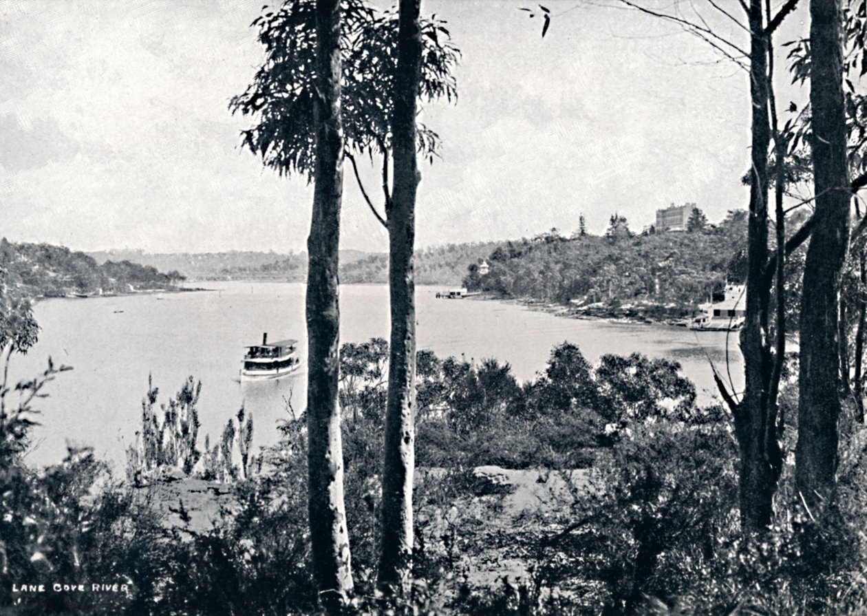 Widok na rzekę Lane Cove, ok. 1900. autorstwa Unbekannt