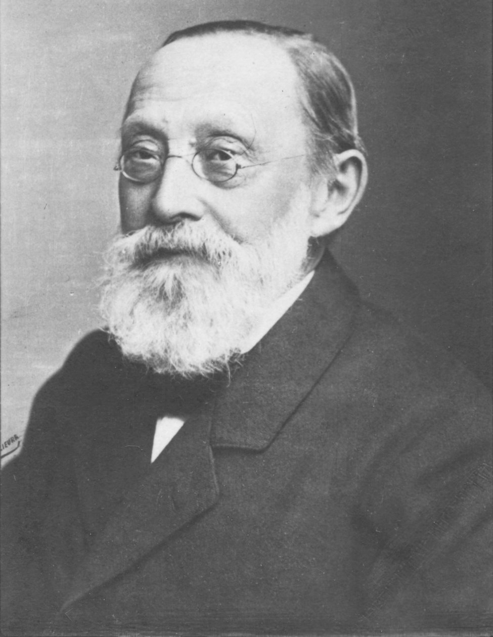 Virchow, ok. 1893 autorstwa Unbekannt