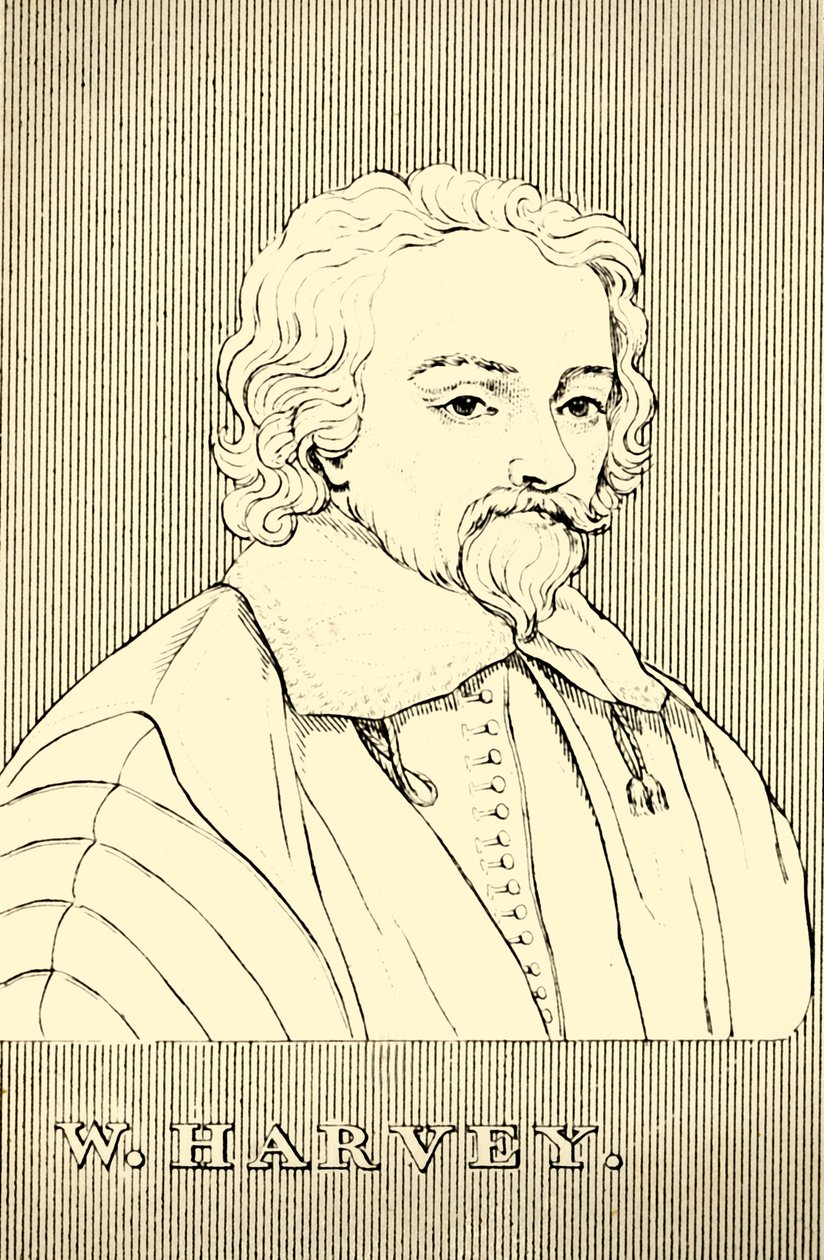 W. Harvey, 1578-1657, 1830. autorstwa Unbekannt