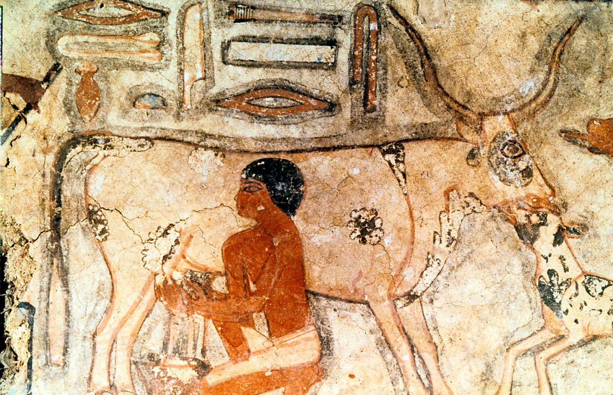 Malowidło ścienne z grobowca Methethi, Sakkara, Starożytny Egipt, Stare Państwo, c2371-2350 pne autorstwa Unbekannt