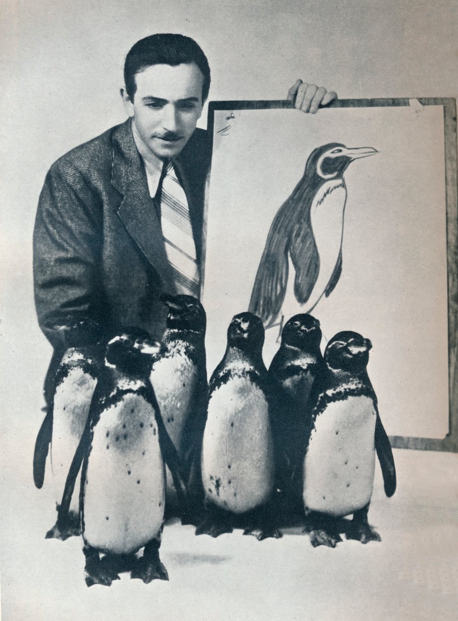 Walt Disney z pingwinami, 1934 1935 autorstwa Unbekannt