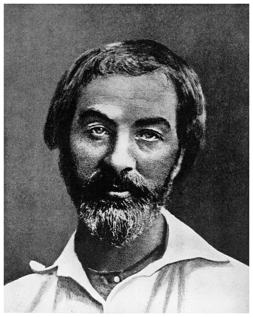 Walt Whitman, amerykański poeta, XIX w. 1956 autorstwa Unbekannt