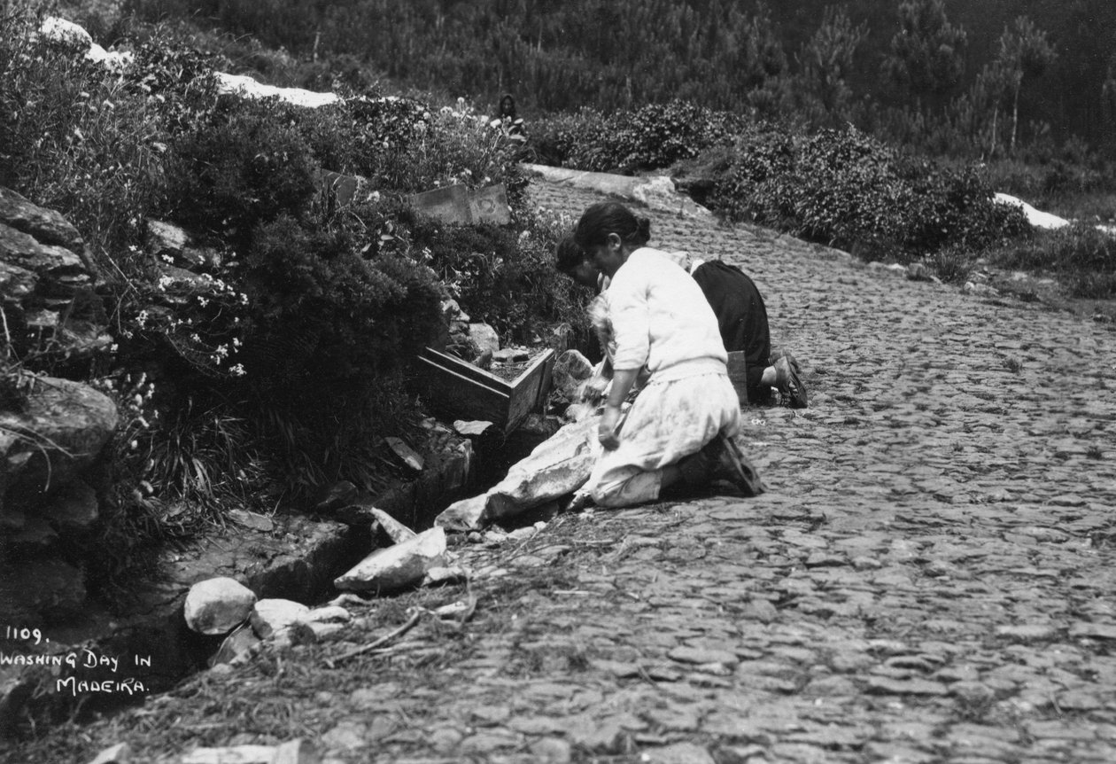Dzień prania na Maderze, Portugalia, lata 20.-30. XX wieku autorstwa Unbekannt