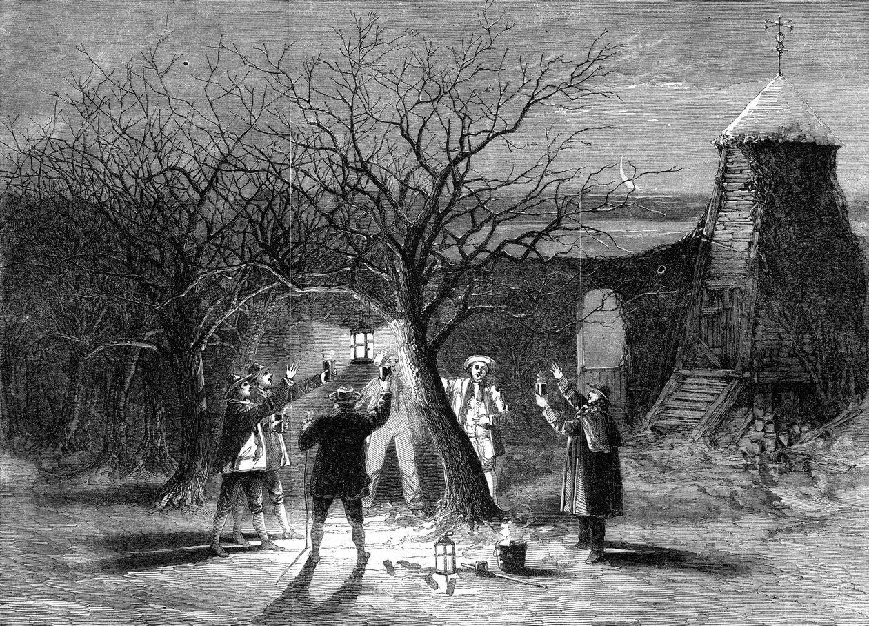 Wassailing jabłonie z gorącym cydrem w Devonshire dwunastego wigilii 1861 r. autorstwa Unbekannt