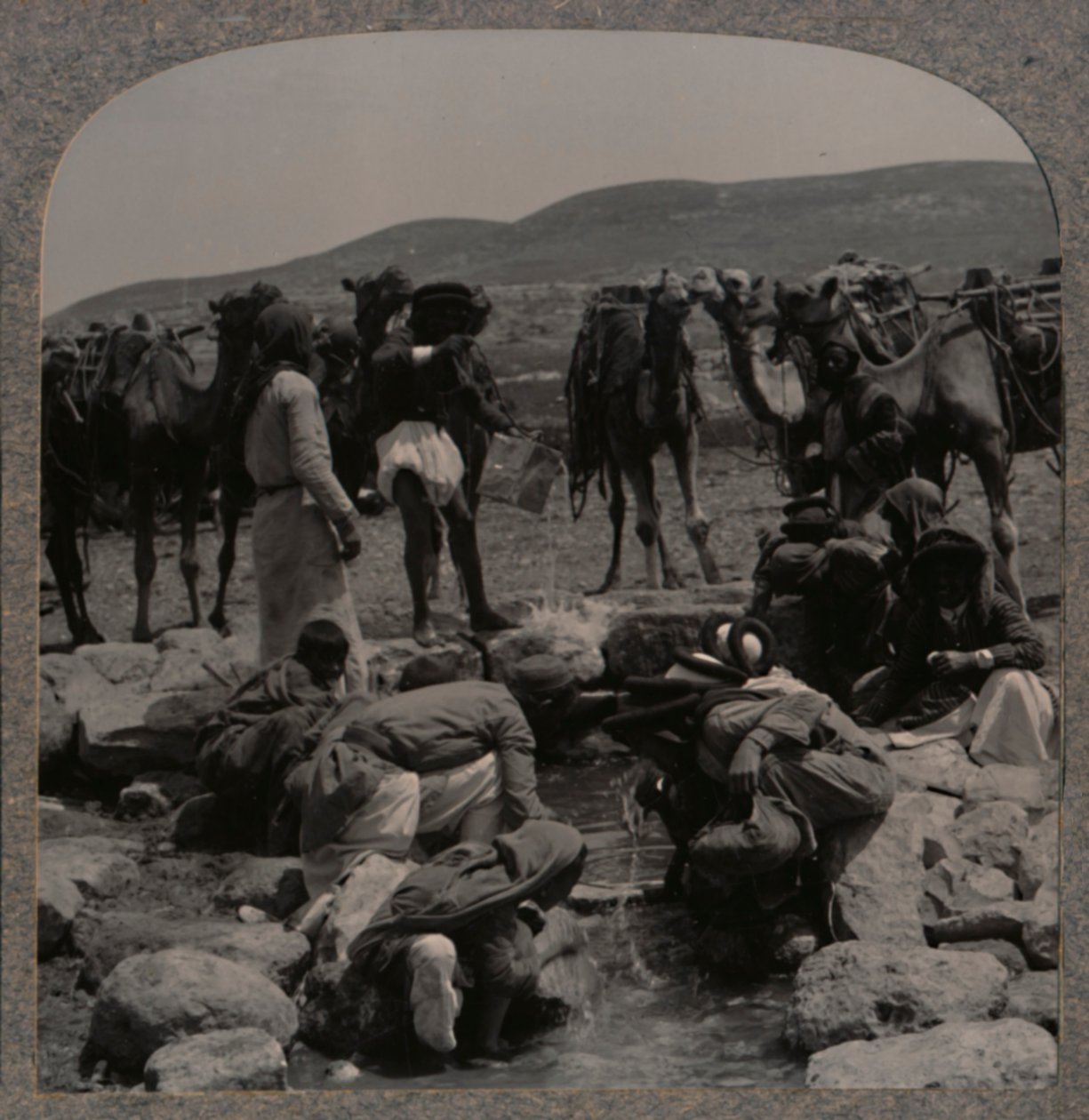 Podlewanie wielbłądów w Jacobs Well, ok. 1900 autorstwa Unbekannt