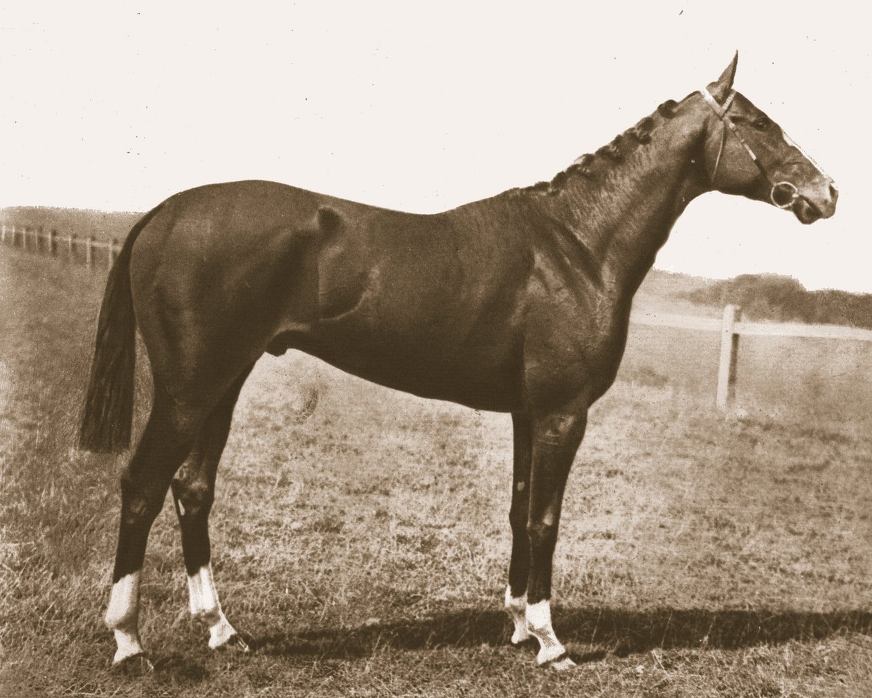 Wiatrowskaz, 1911. autorstwa Unbekannt
