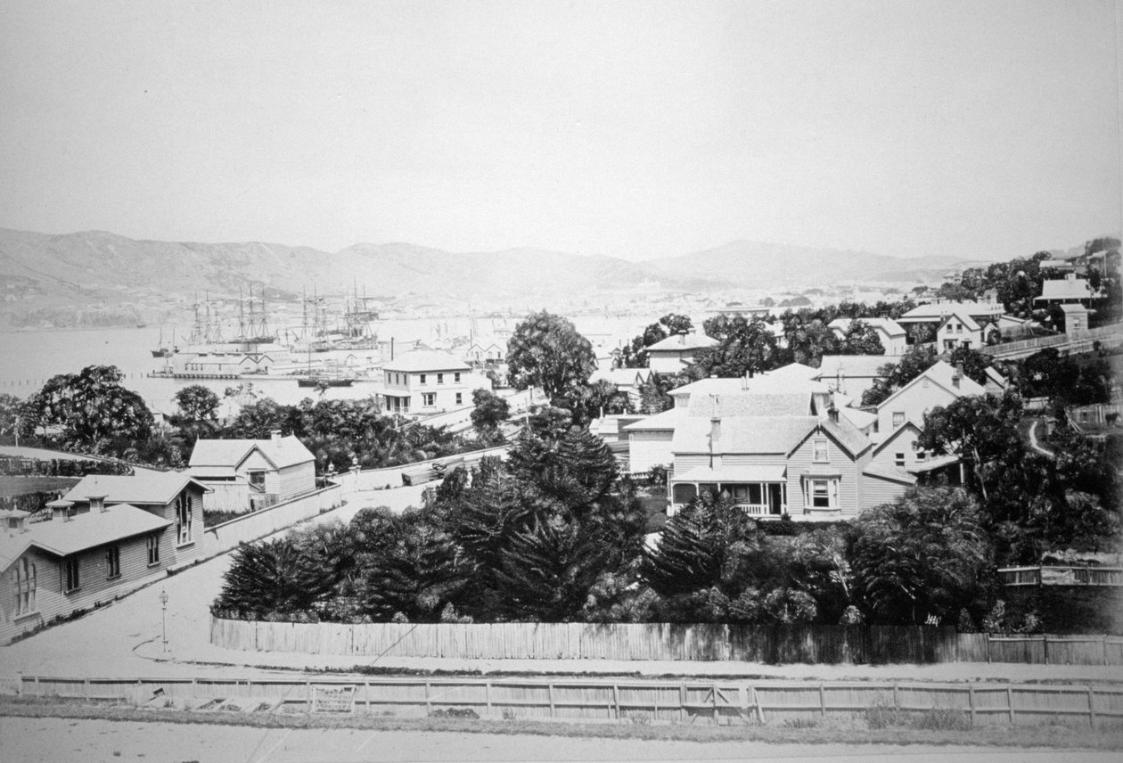Wellington, Nowa Zelandia, 1875 autorstwa Unbekannt