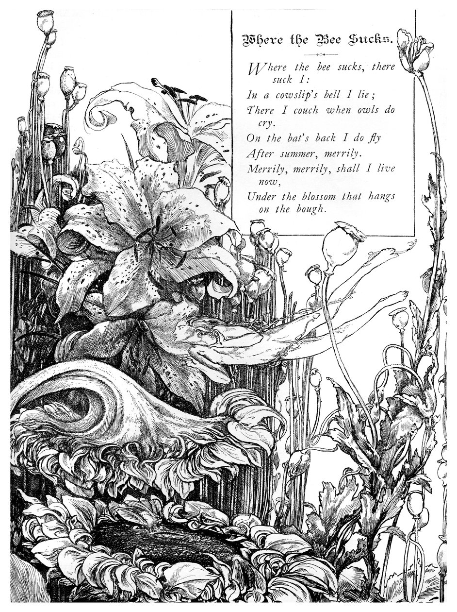 „Gdzie pszczoła ssie”, 1895 autorstwa Unbekannt