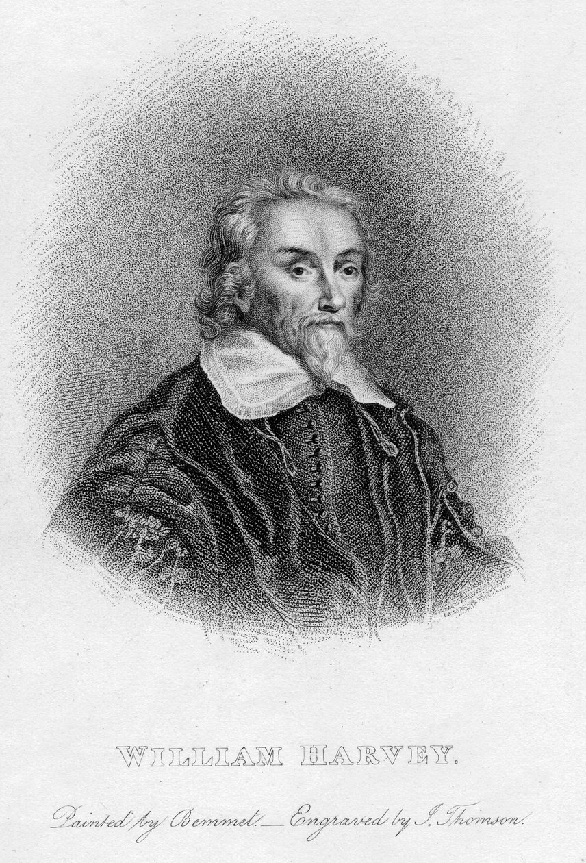 William Harvey 1578-1657 Angielski lekarz, ok. XVII w. autorstwa Unbekannt